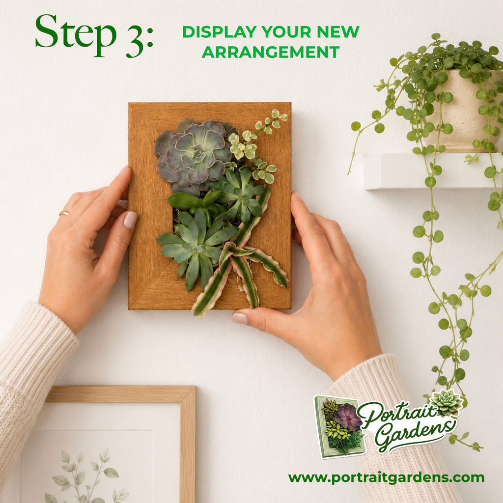4x6 Vertical Planter Kit | Portrait Gardens