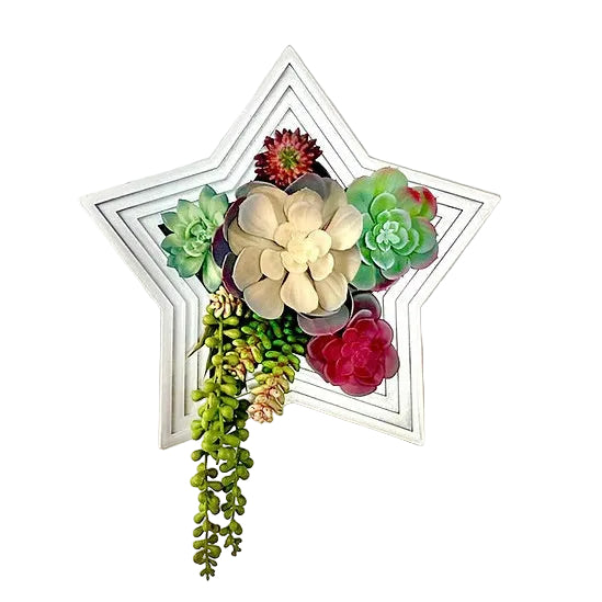 Star-Shaped Vertical Planter Kit