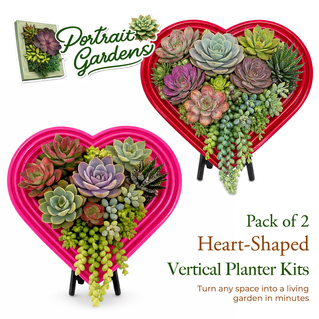 Heart-Shaped Vertical Planter Kit (Pack of 2) | Portrait Gardens