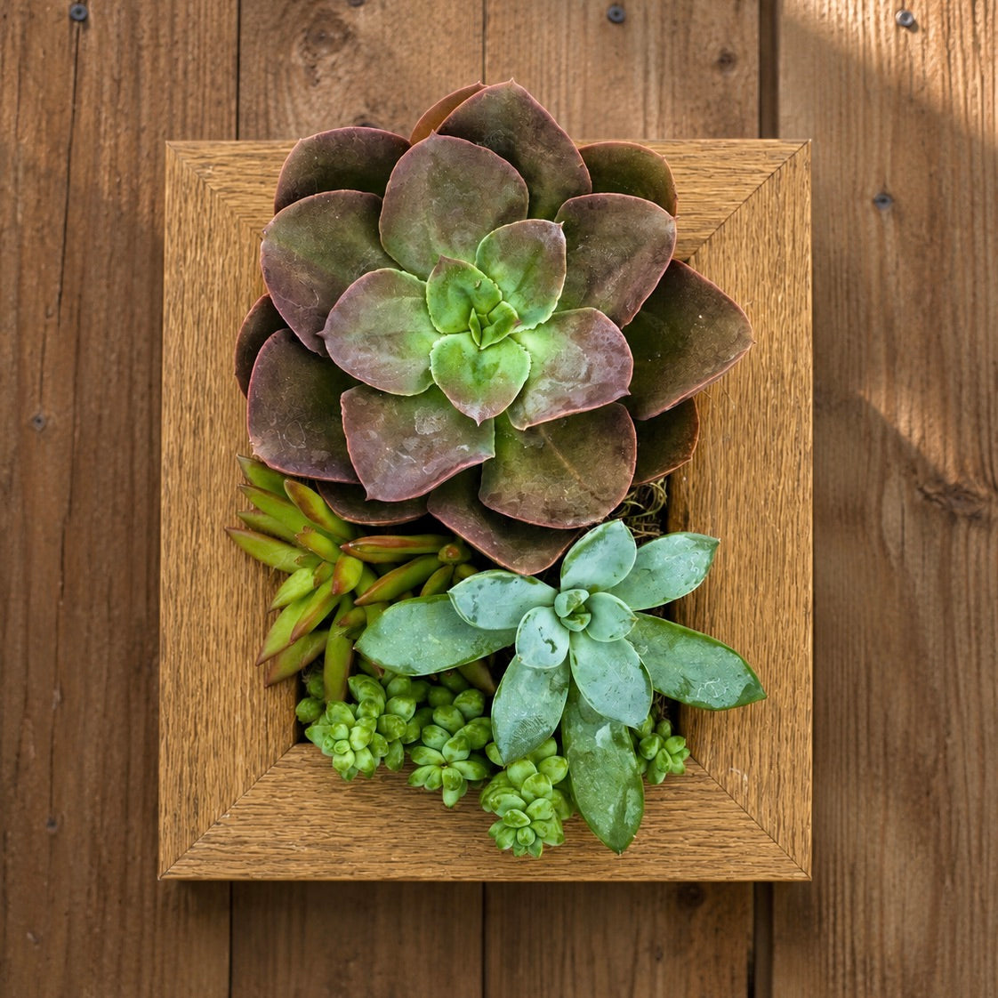 4x6 Vertical Planter Kit | Portrait Gardens