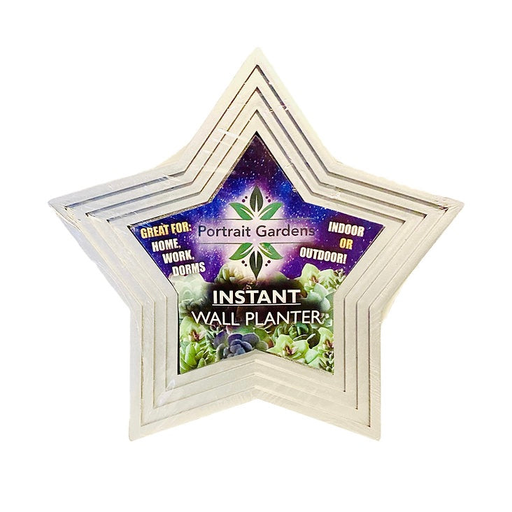 Star-Shaped Vertical Planter Kit