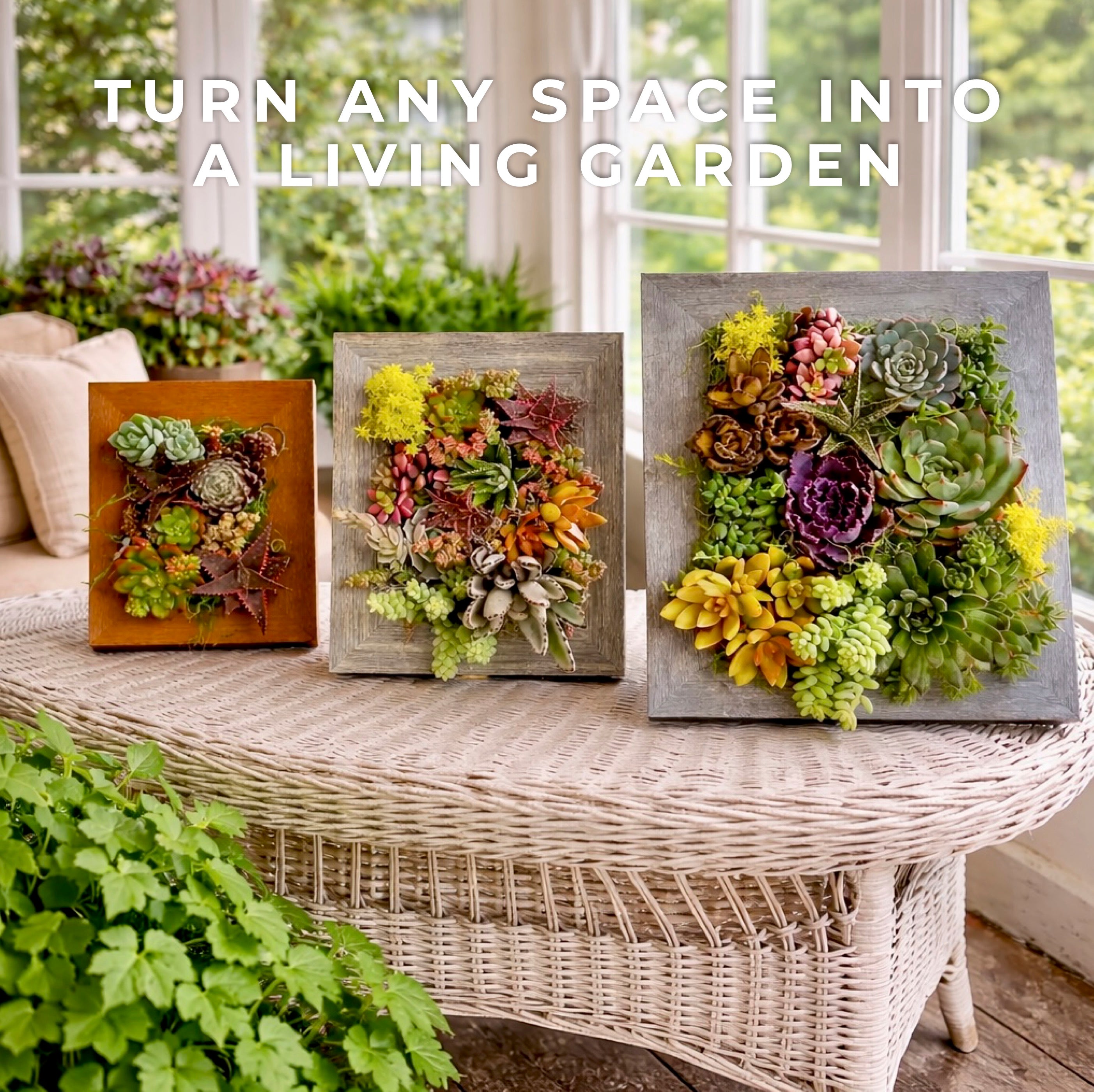 4x6 Vertical Planter Kit