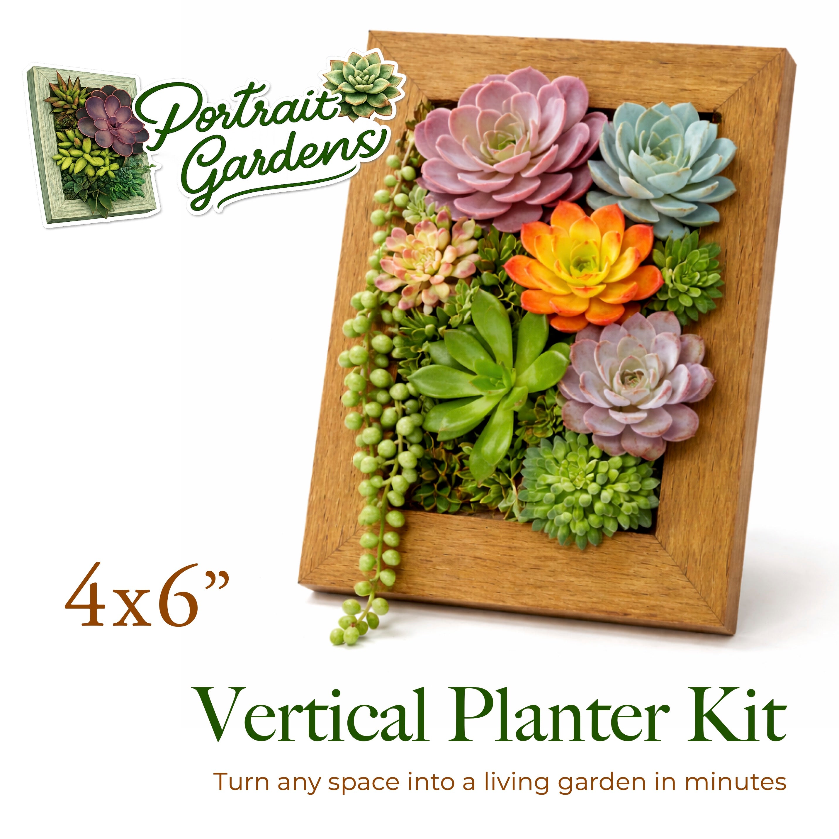 4x6 Vertical Planter Kit | Portrait Gardens