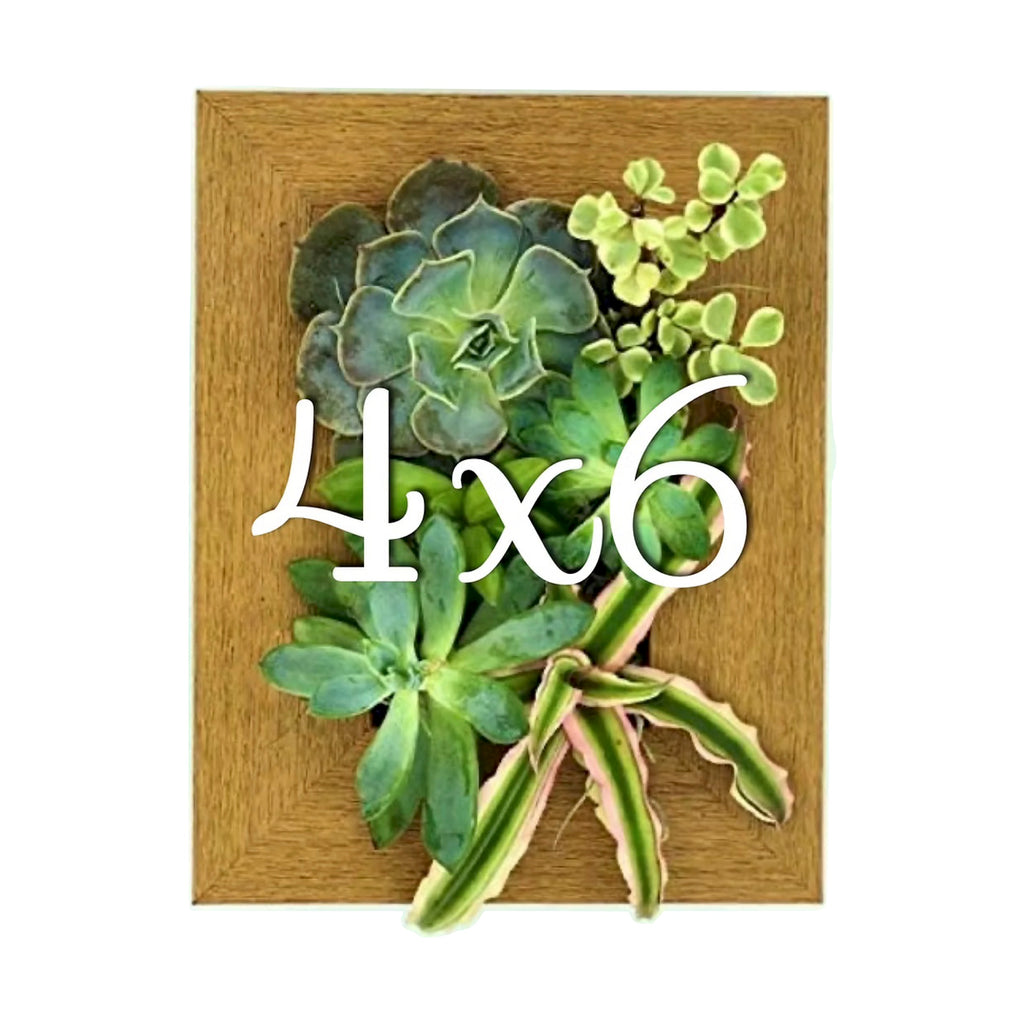 4x6 Vertical Planter Kit