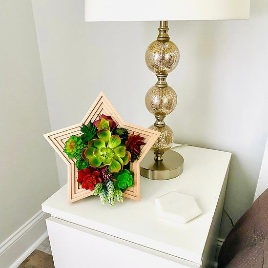 Star-Shaped Vertical Planter Kit