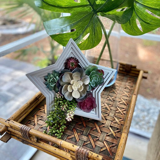 Star-Shaped Vertical Planter Kit