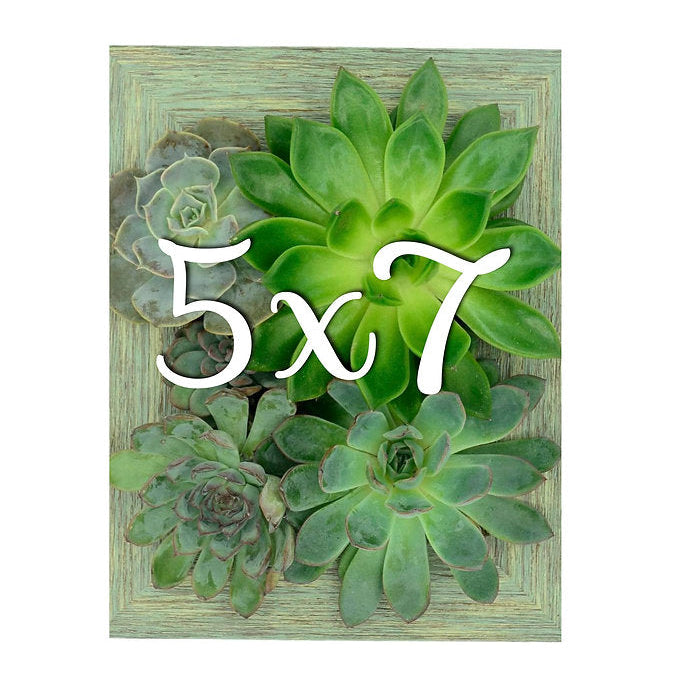 5x7 Vertical Planter Kit