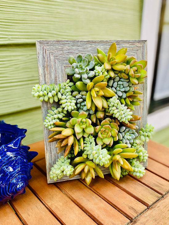 5x7 Vertical Planter Kit