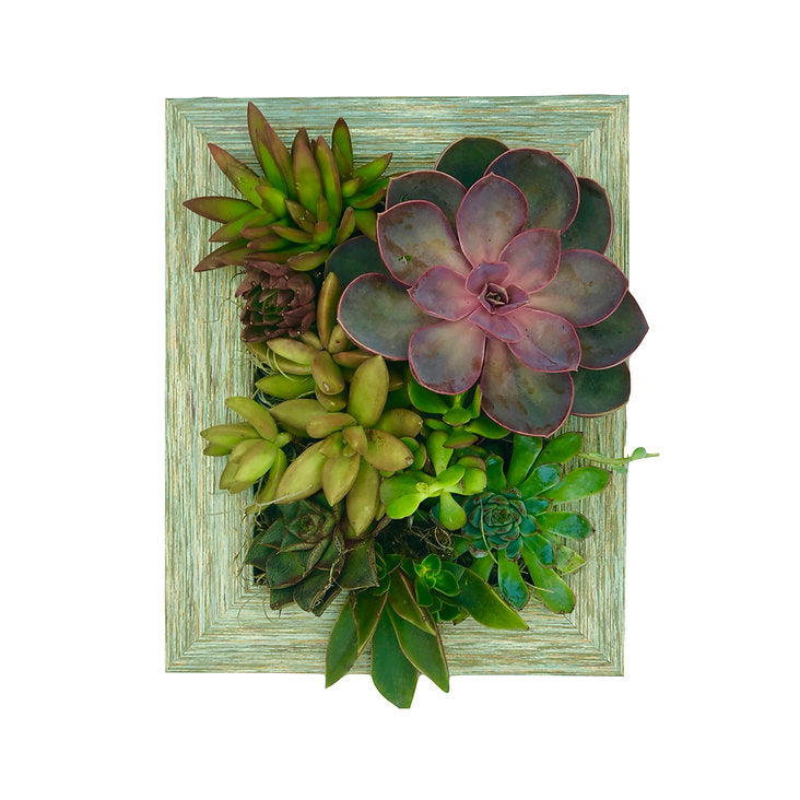 5x7 Vertical Planter Kit