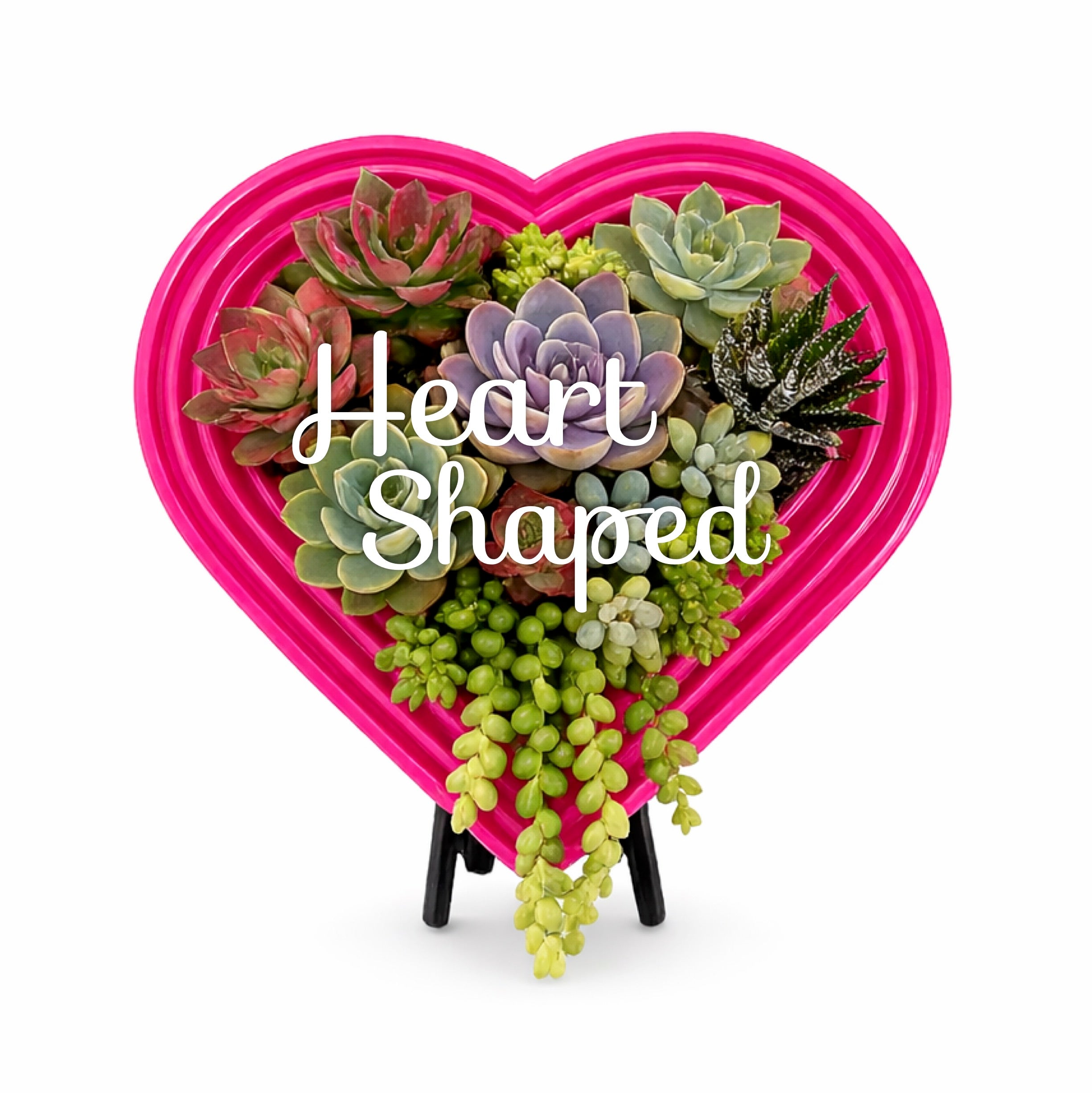 Heart-Shaped Vertical Planter Kit