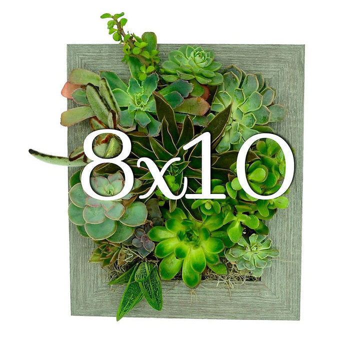 8x10 Vertical Planter Kit