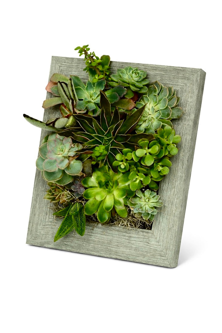 8x10 Vertical Planter Kit | Portrait Gardens