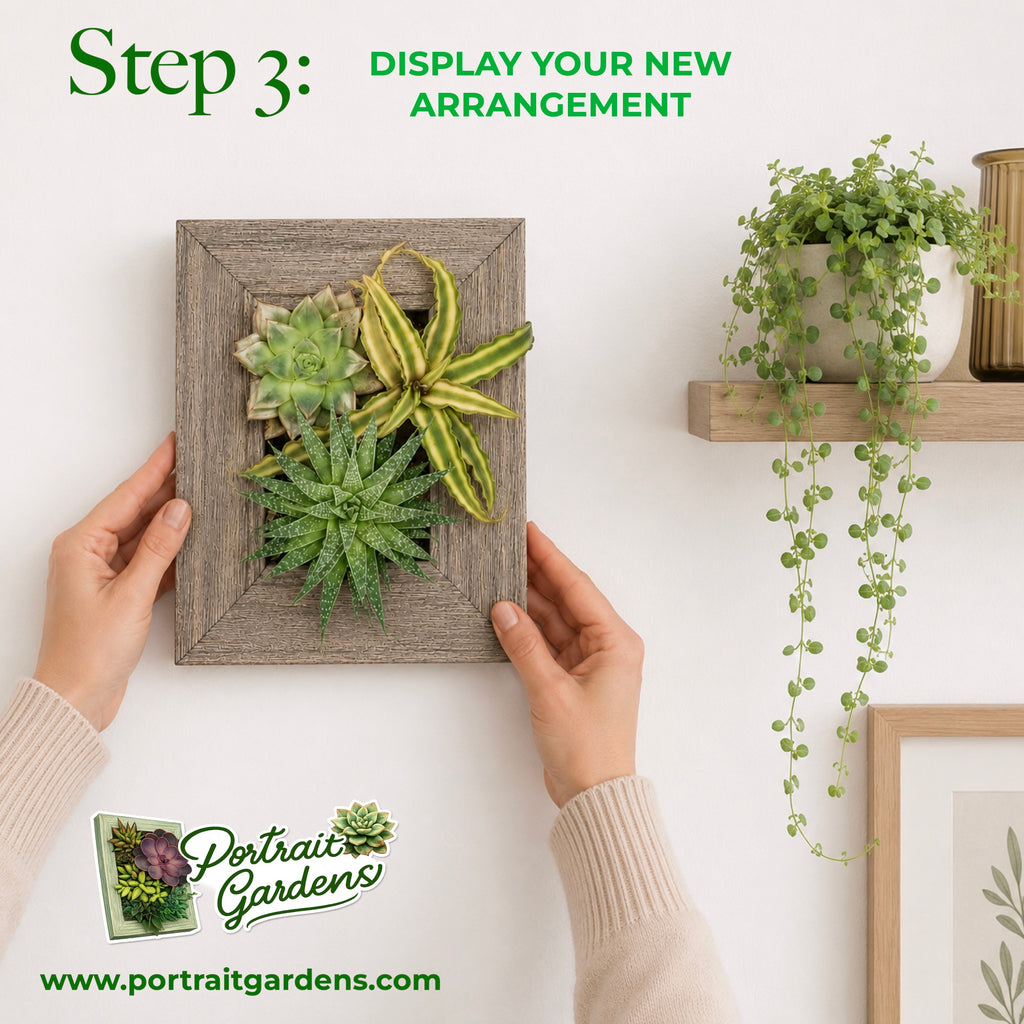 5x7 Vertical Planter Kit | Portrait Gardens
