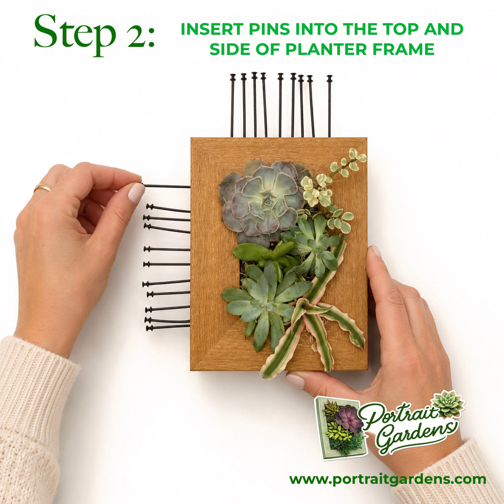 4x6 Vertical Planter Kit | Portrait Gardens