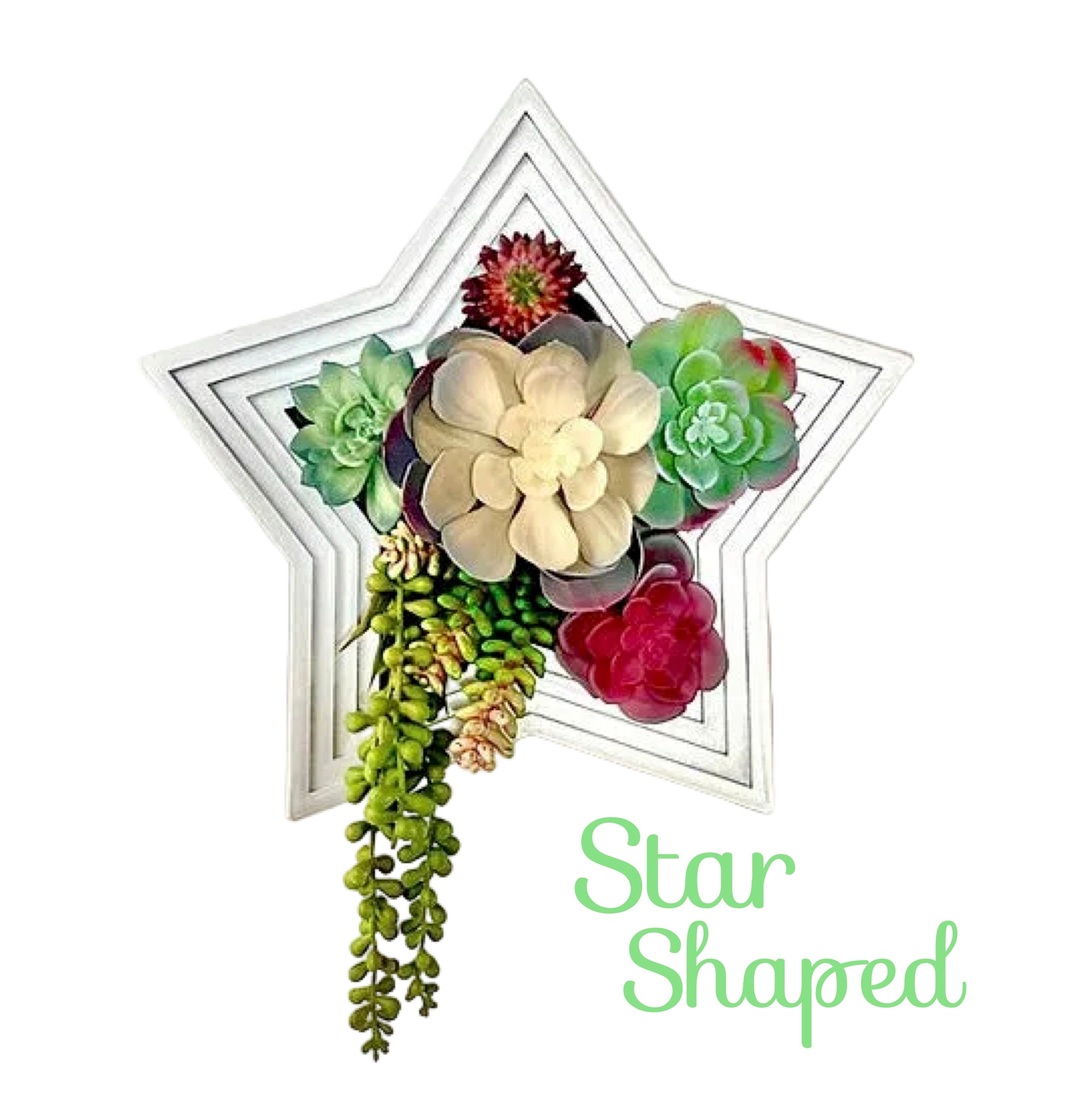 Star-Shaped Vertical Planter Kit