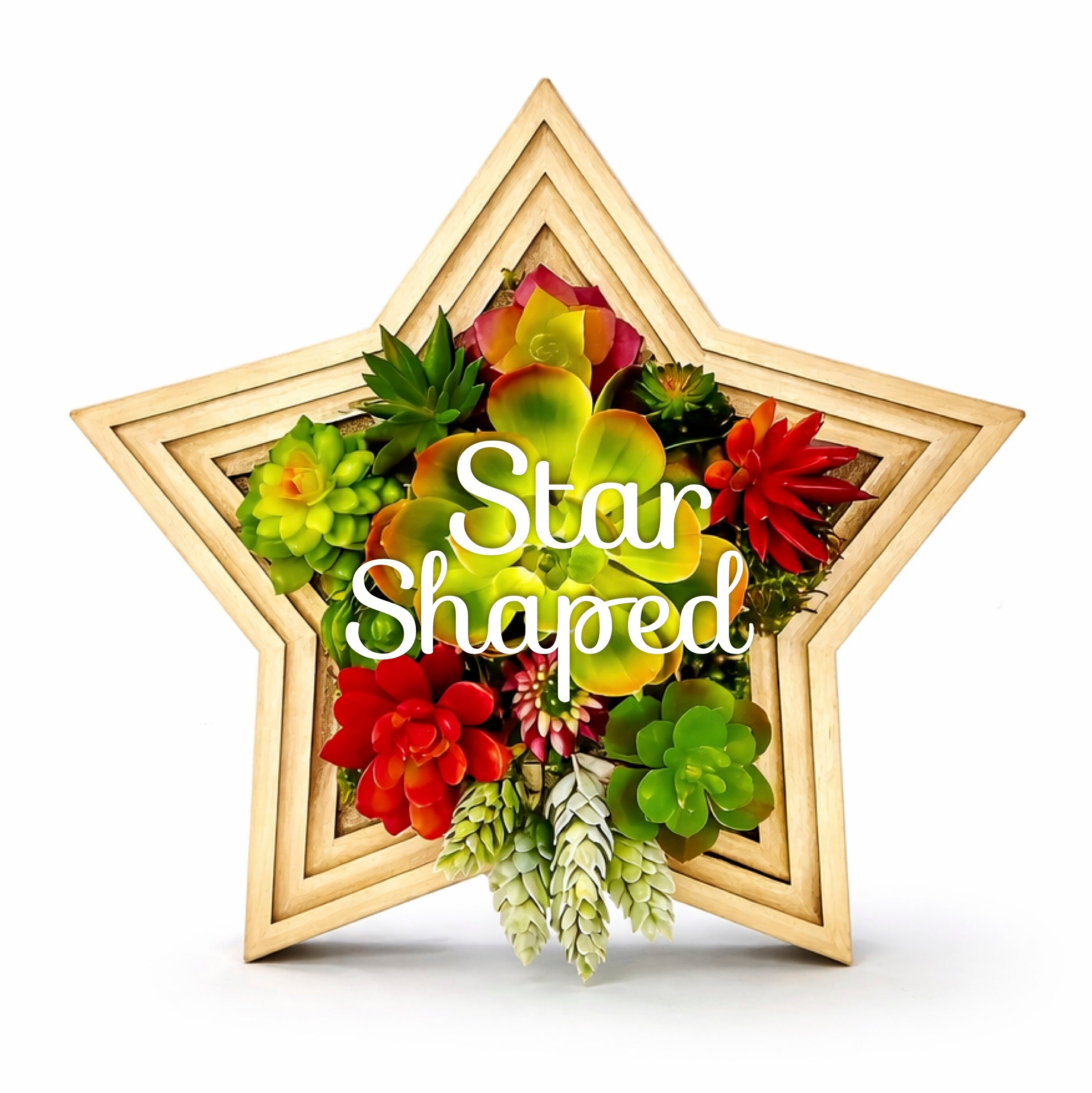 Star-Shaped Vertical Planter Kit