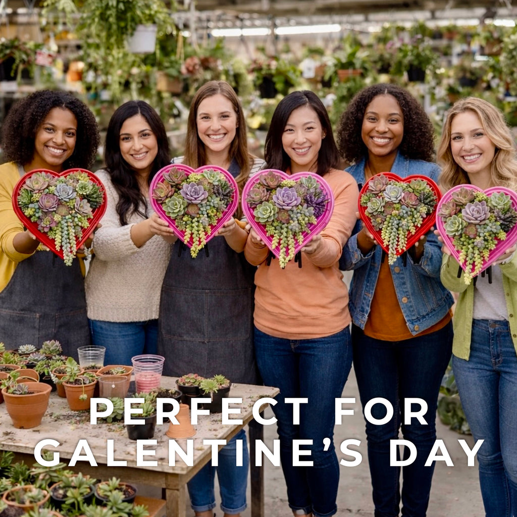 Heart-Shaped Vertical Planter Kit (Pack of 2) | Portrait Gardens