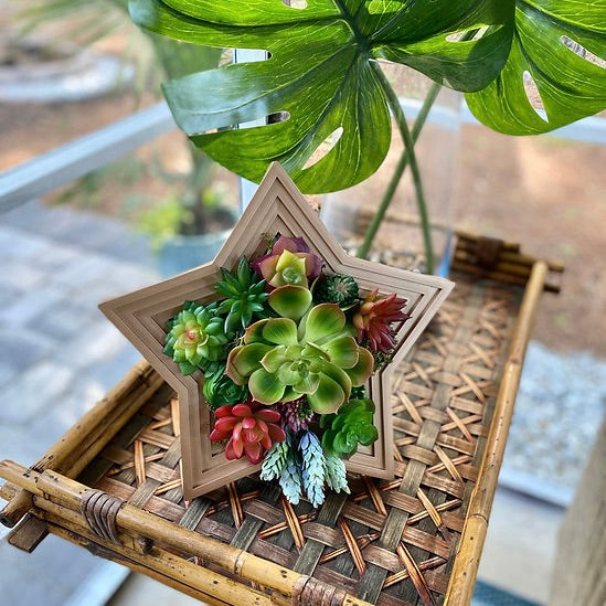 Star-Shaped Vertical Planter Kit