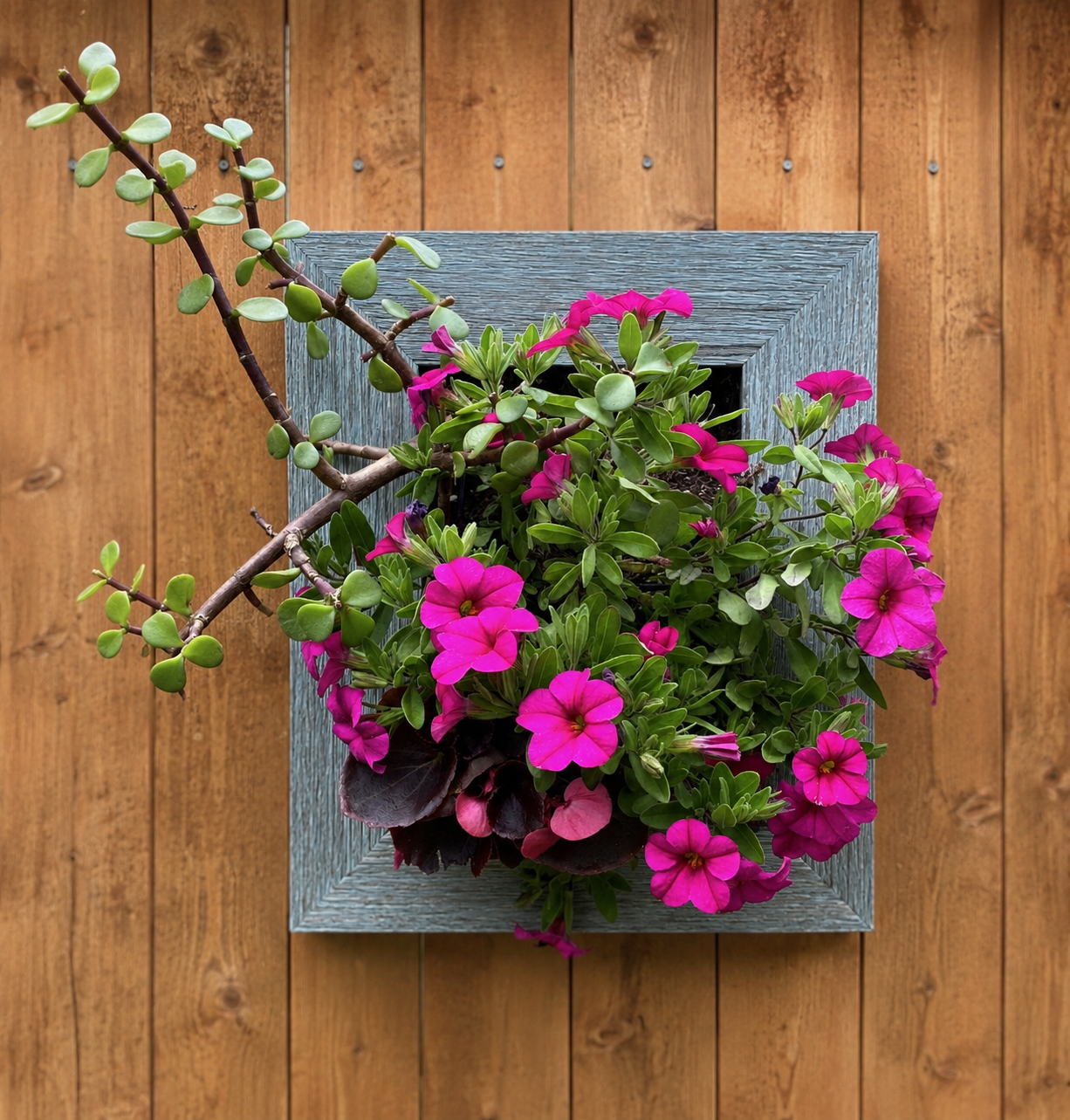 5x7 Vertical Planter Kit | Portrait Gardens