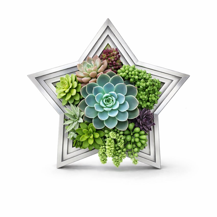 Star-Shaped Vertical Planter Kit (Pack of 2) | Portrait Gardens