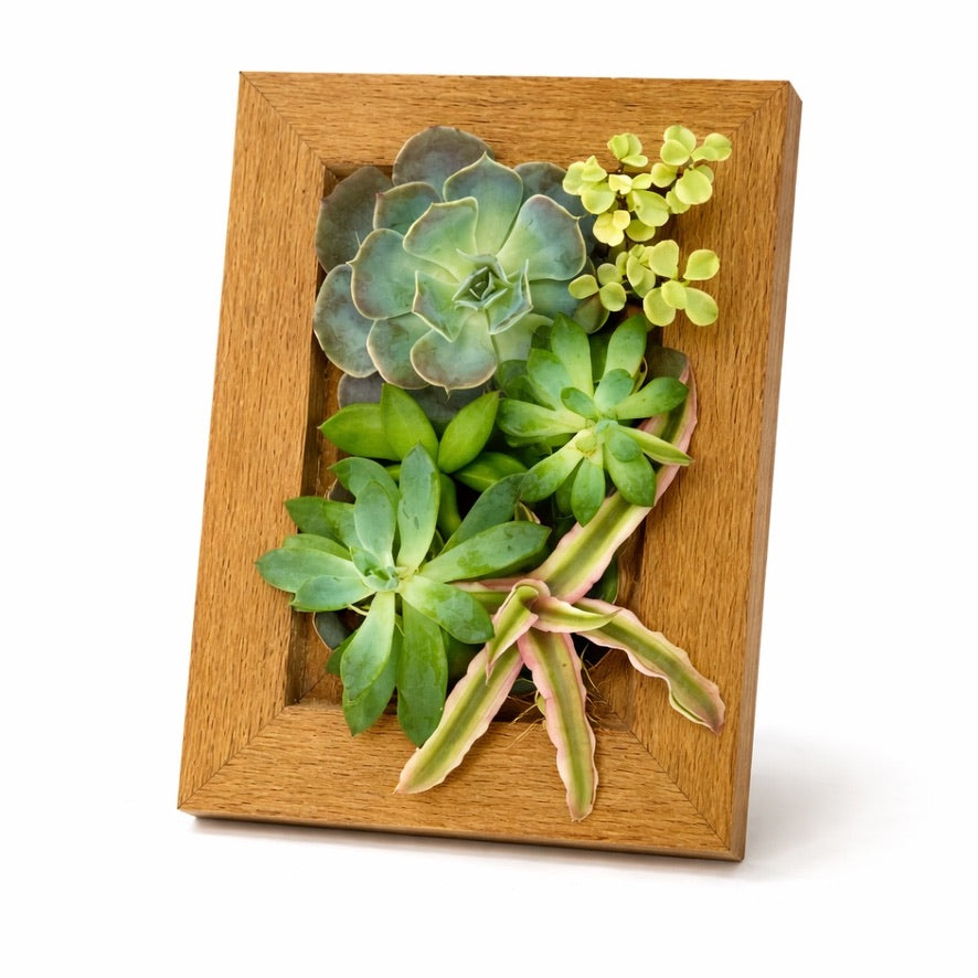 4x6 Vertical Planter Kit | Portrait Gardens