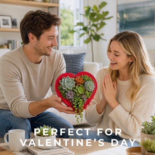 Heart-Shaped Vertical Planter Kit