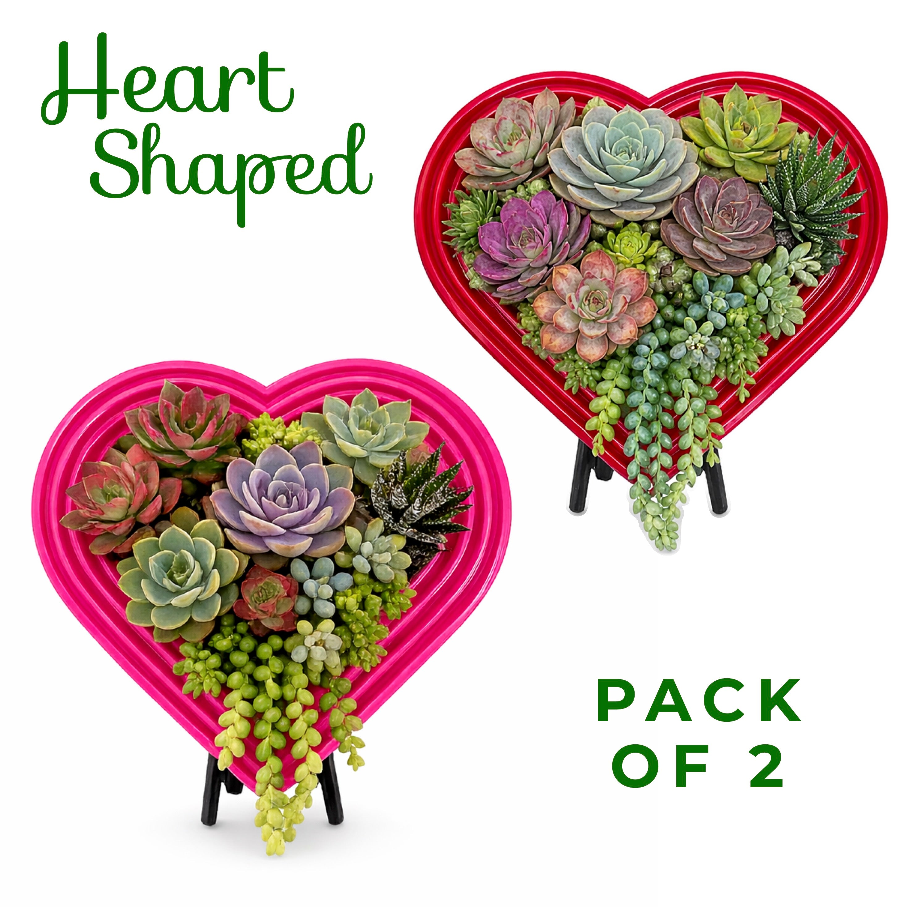 Heart-Shaped Vertical Planter Kit (Pack of 2)