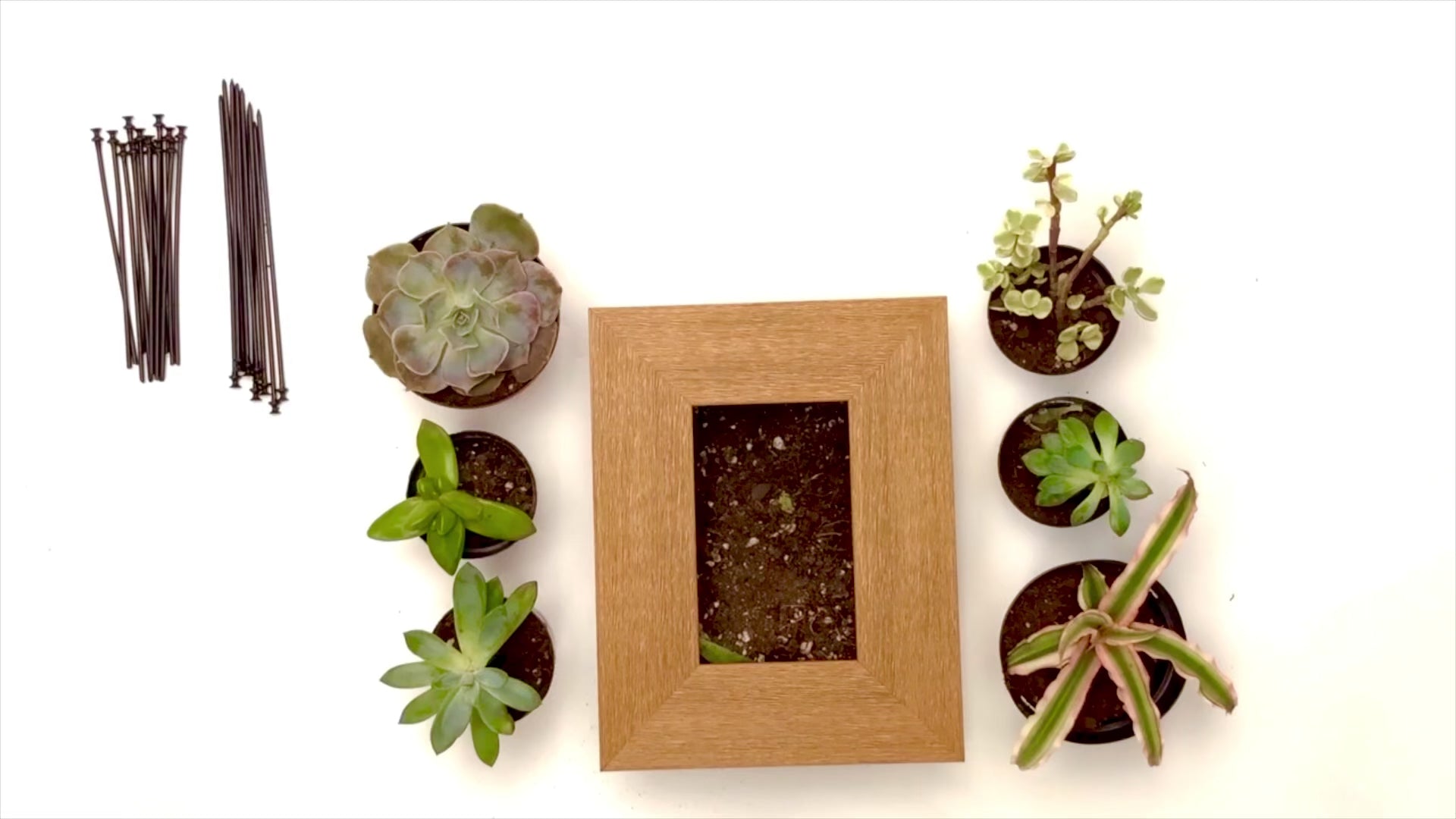 4x6 Vertical Planter Kit