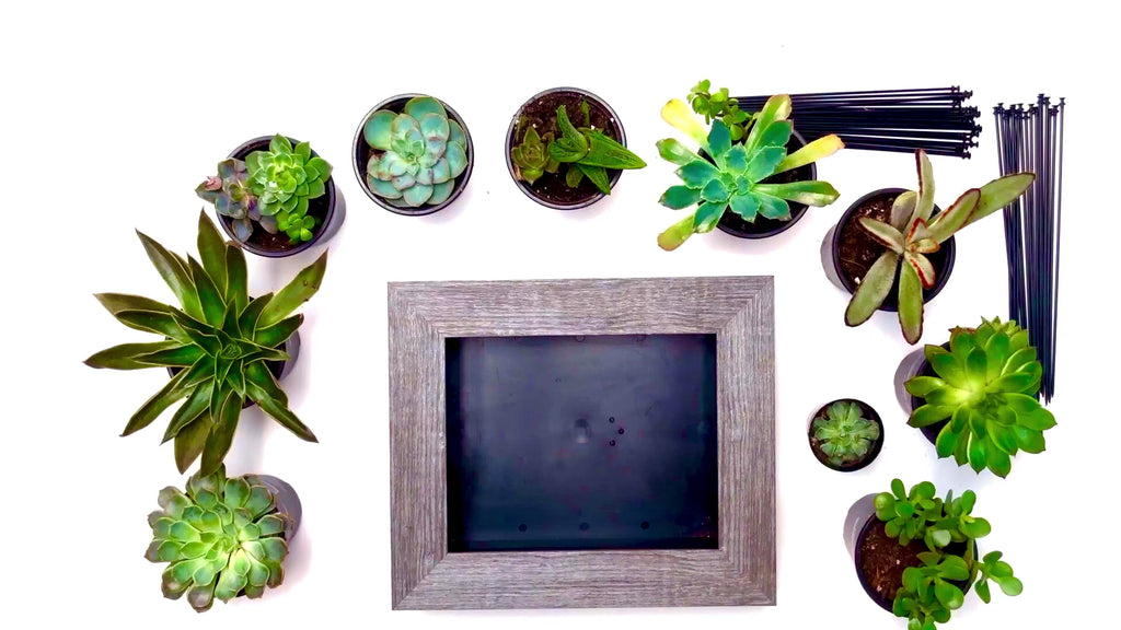 8x10 Vertical Planter Kit